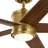 Brahm 56'' Ceiling Fan with LED Lights-1164227616