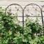 2 Pack Metal Garden Trellis 86.7" X 19.7" Rustproof Trellis For Climbing Plants Outdoor Flower Support Dragonfly Deco Black