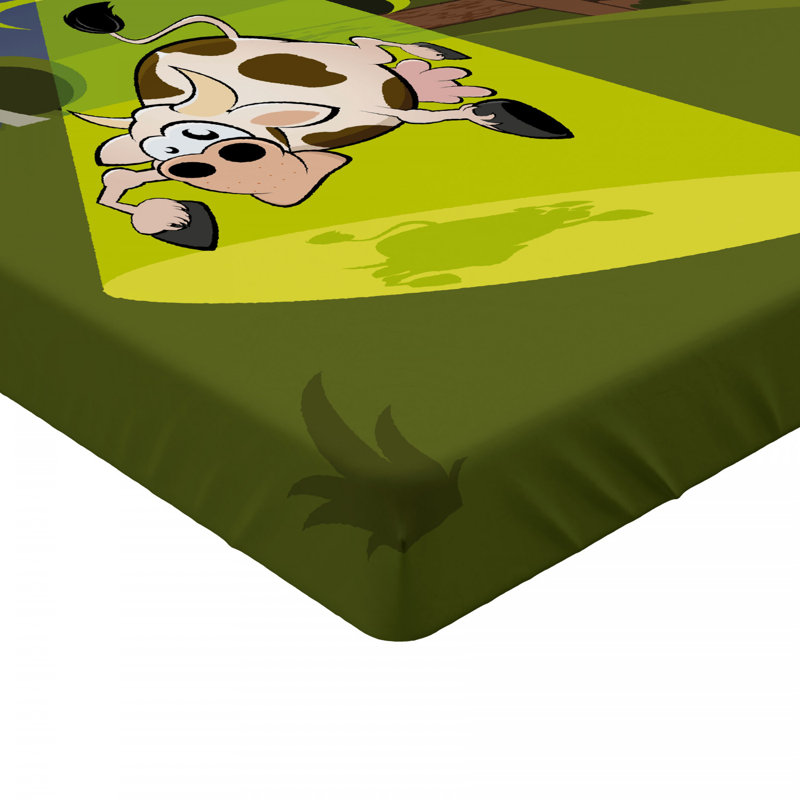 Cartoon Microfiber Fitted Sheet, Twin XL Fitted Sheet
