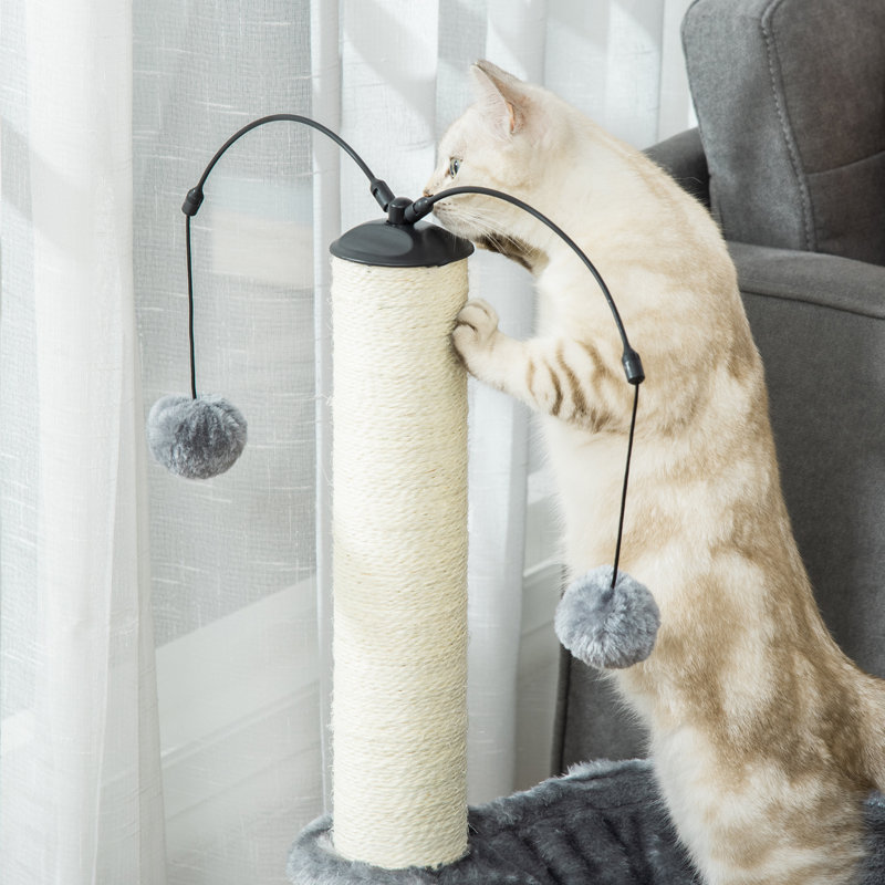 Cat Perch