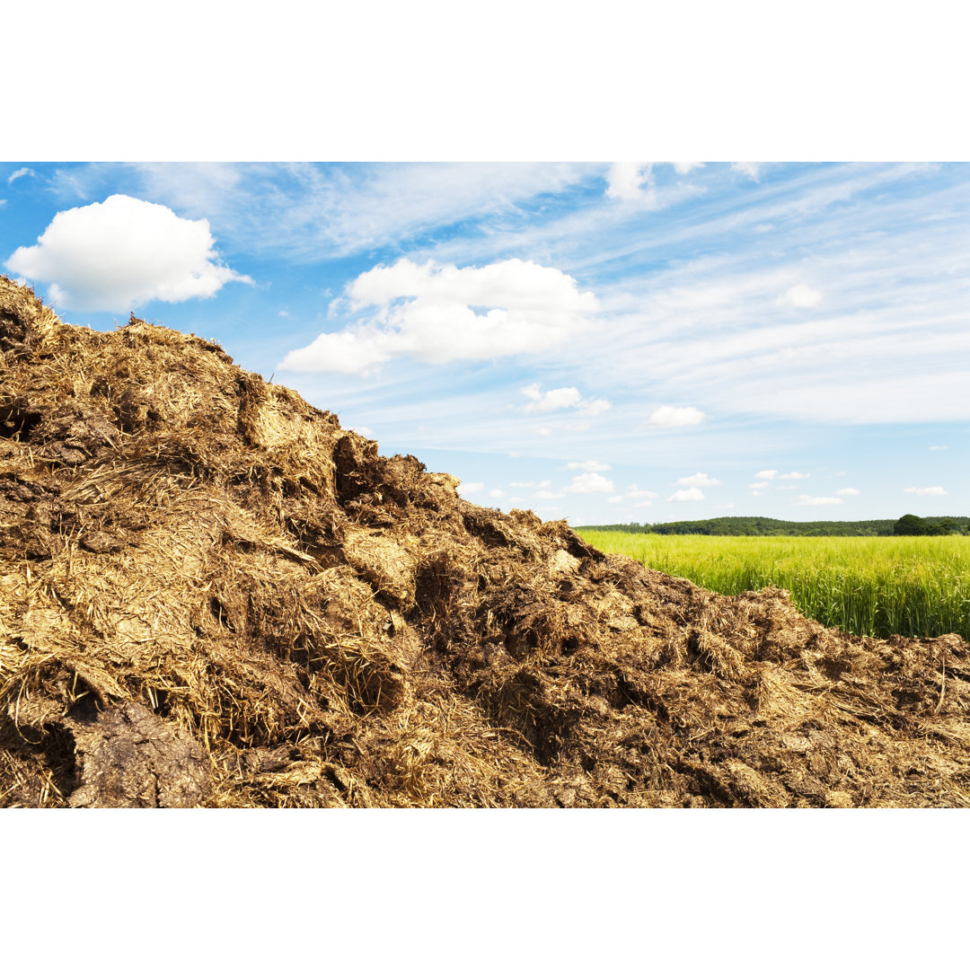 Misthaufen auf einem Feld im Sommer von Lucentius - Drucken