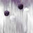 allium flowers - 32"x32" art on canvas
