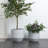 Round Planter-1213760967