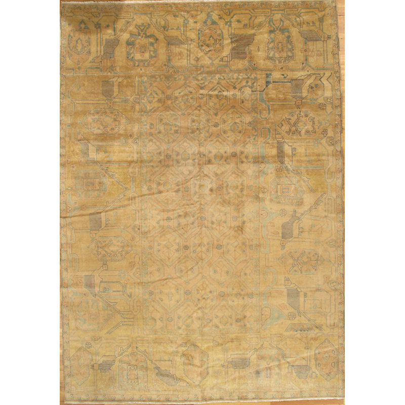 Wool Oriental Area Rug in Tan/Ivory