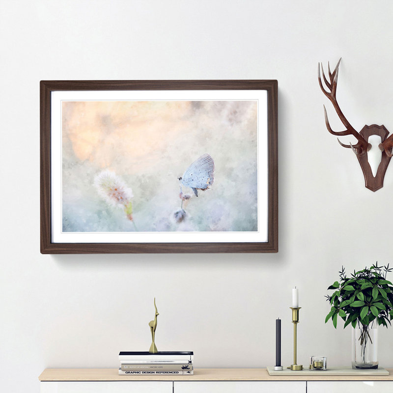 Tailed-Blue Butterfly - Picture Frame Painting Print, 45cm H x 63cm W x 2cm D, Walnut Framed
