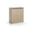 15 Pair Shoe Storage Cabinet