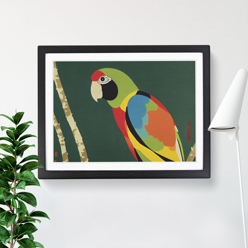 XH1022-6788X Parrot Abstract Vol.4 - Single Picture Frame Print, Black, 46cm H x 64cm W x 2cm D