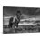 «Two of a Kind» par Bragi Ingibergsson, reproduction de photo sur toile