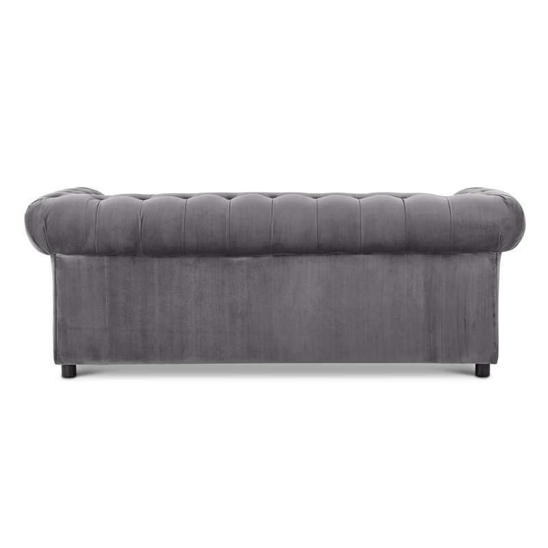 Aaron 2 - Piece Velvet Living Room Set, Grey