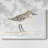 Pretty Piper I-Gallery Wrapped Canvas-3409284