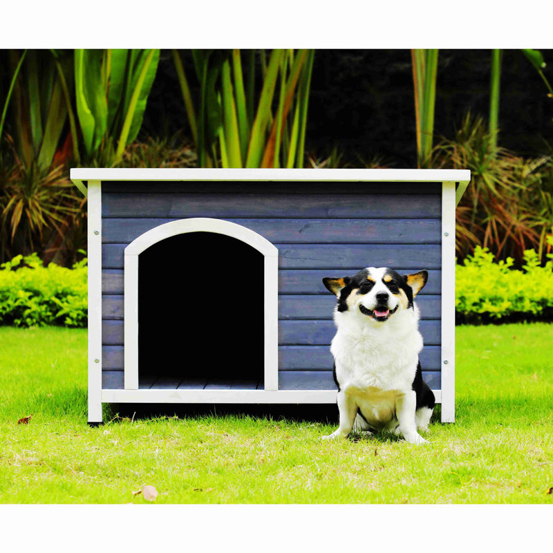 Dazia Dog House
