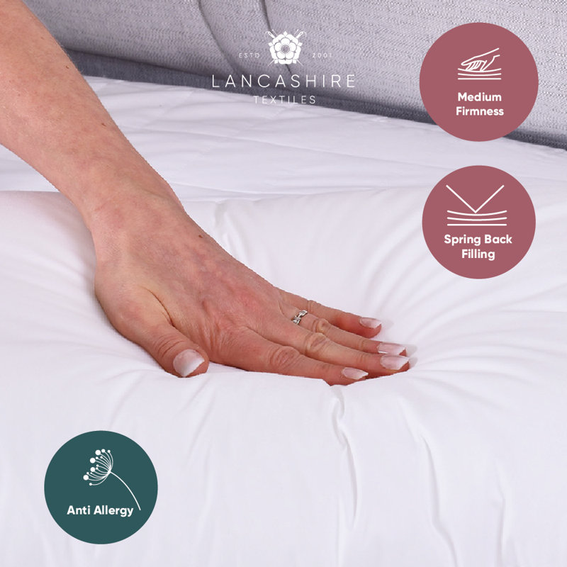 Aleda Square Euro Cushion