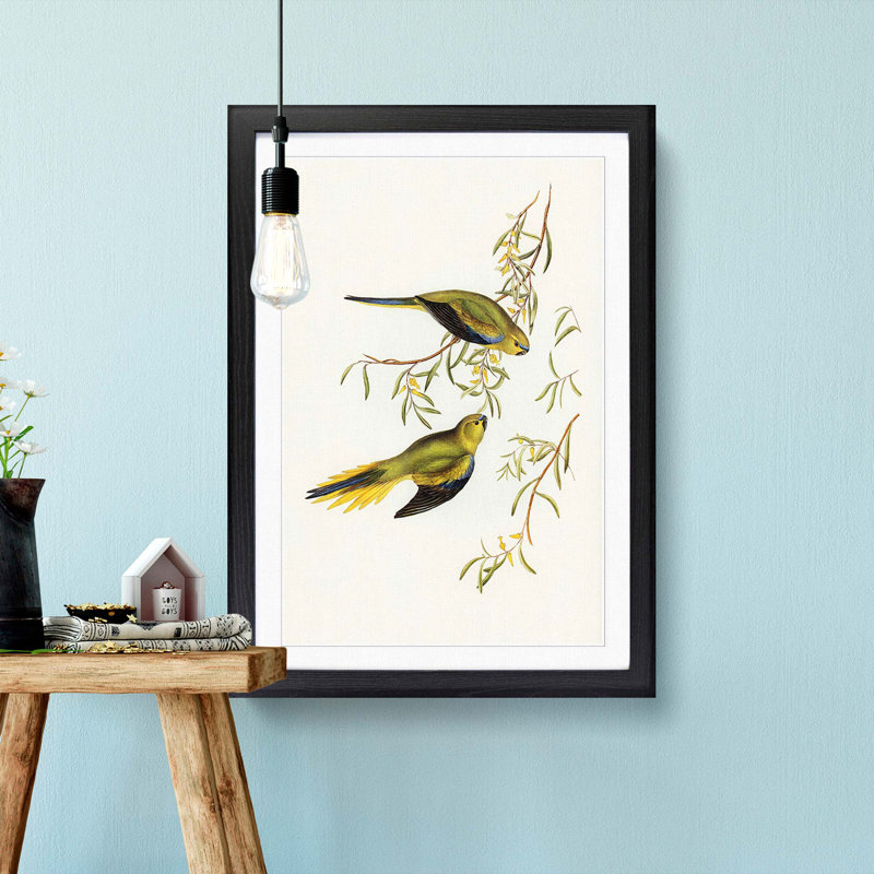 Elegant Grass-Parakeets by Elizabeth Gould - Picture Frame Painting Print, 65cm H x 48cm W x 2cm D, Black Framed