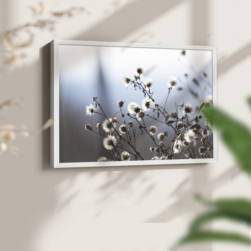 Spring Fluff -Framed Print - Restickable, 16" H x 20" W, White
