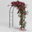 Arches d'escalade pour mariage