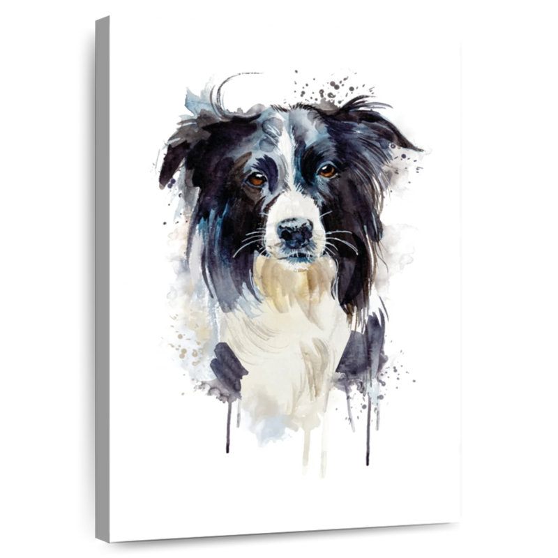 Border Collie Dog Splash, 12" H x 8" W