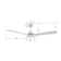 Brisa Smart Ceiling Fan with Remote, Light Kit Included, Works with Google Assistant, Amazon Alexa, and Siri Shortcuts.