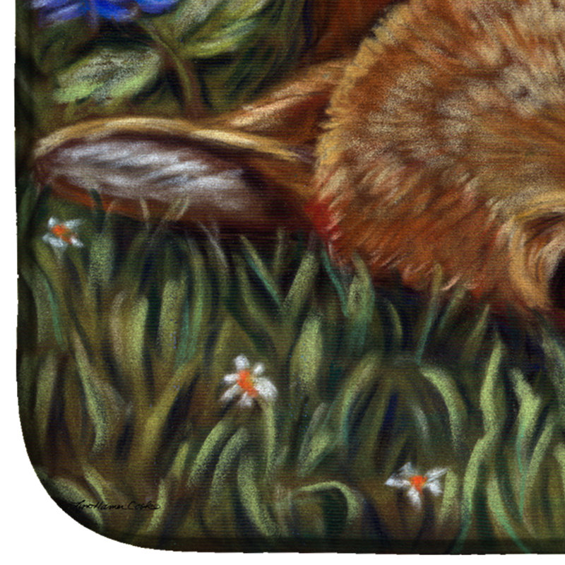 Drying Mat