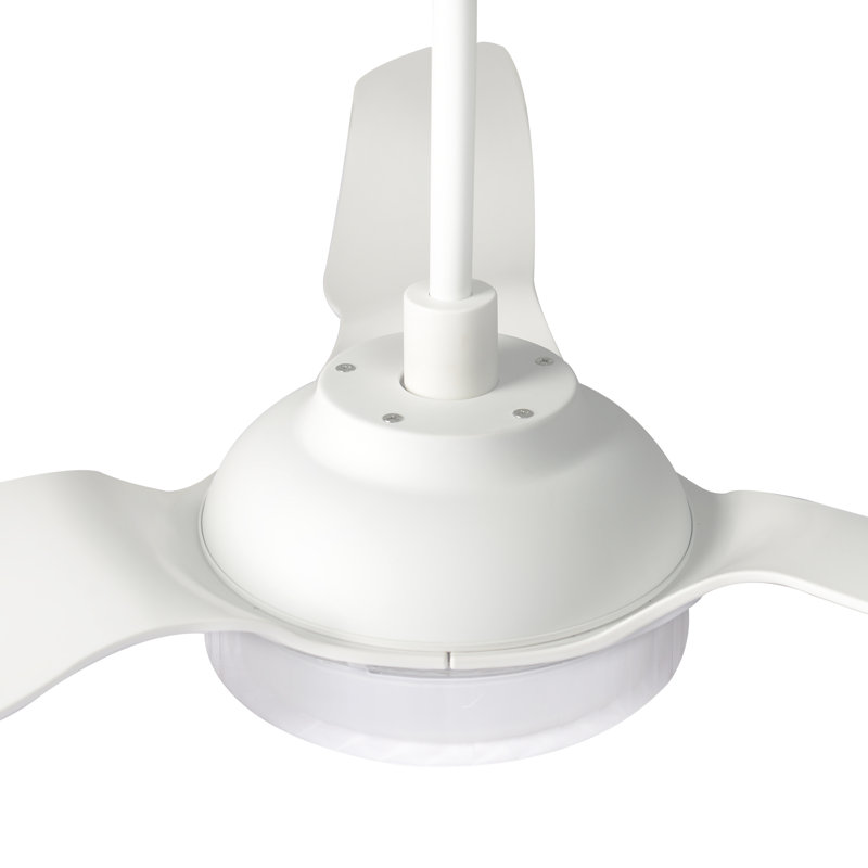 Braylynn 52'' Ceiling Fan with LED Lights, White