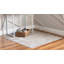 Tapis oriental ivoire Cantey-1741909925