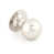 Polished Nickel selected
