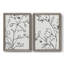 Croquis botanique I - Toile encadrée de qualité supérieure - prête à être accrochée-984634401-984635349