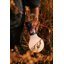 Aplo LED Outdoor Table Lamp-70508220