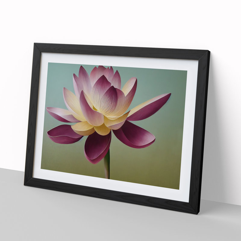 Shining Lotus Flower - Framed Print, Black, 46cm H x 64cm W x 2cm D