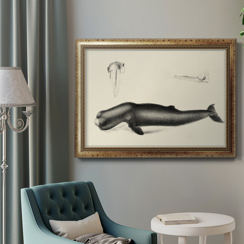 Antique Whale Study II - Peinture sur toile encadrée