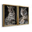 Léopard d'Afrique - ensemble de 2 reproductions-643073680-643073682-642916379