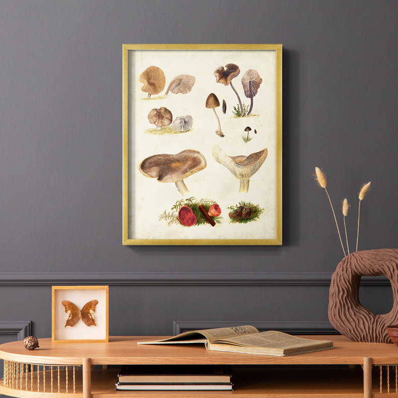 Reproduction encadrée Mushroom Species III - bois massif, H 20 po x l 16 po