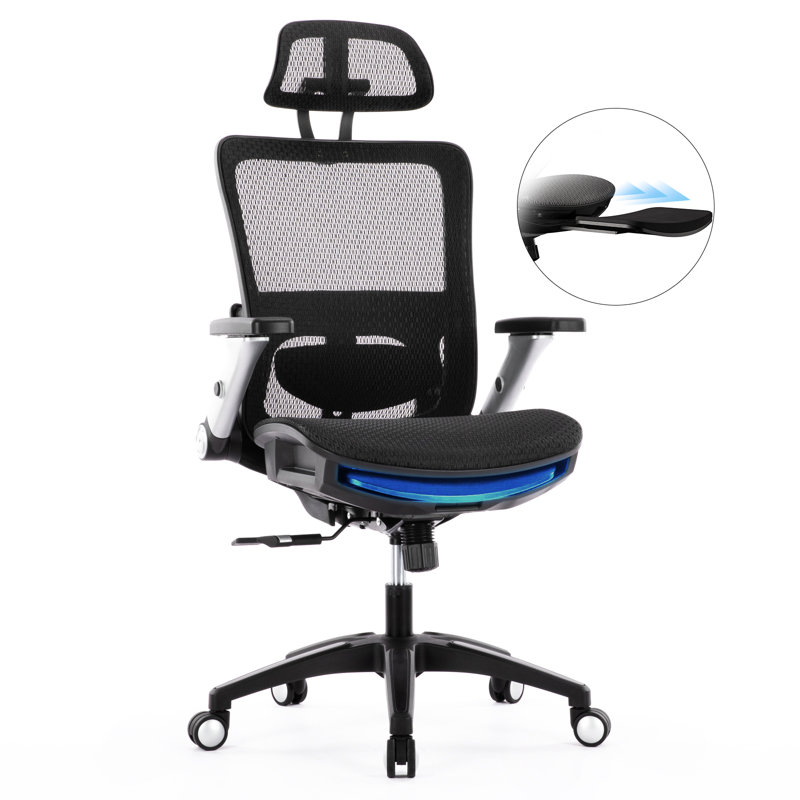 Hopeworth Ergonomic Mesh Office Chair with Adjustable Arms & Swivel Base