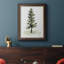 Watercolor Pine II - Peinture sur toile encadrée-753184256