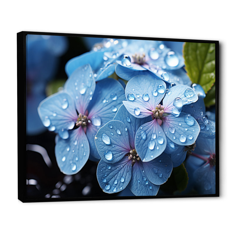 Attif fleurs sérénade en bleu - imprimé, Cadre flottant noir, H 34 po x l 44 po x P 1,5 po