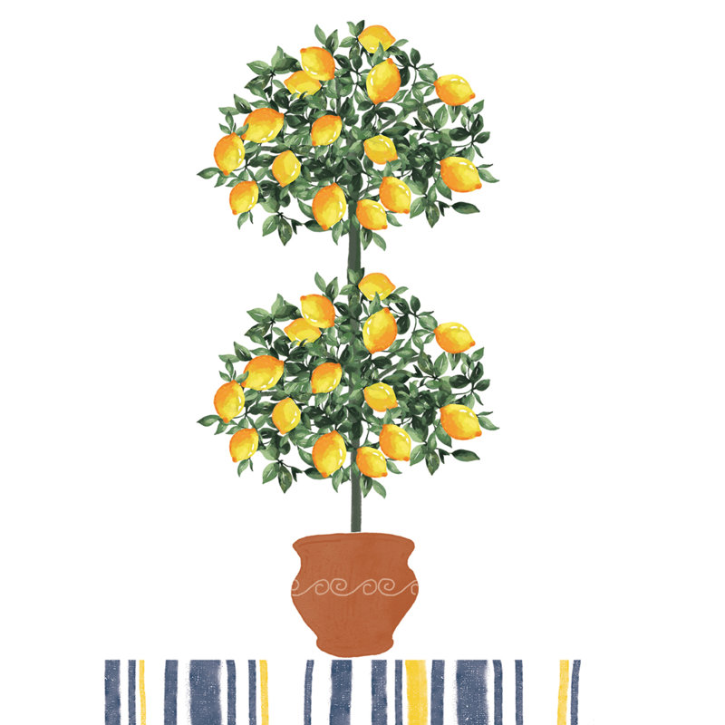 Ensemble de fournitures de fêtes à gouttes de citron pour 10 invités