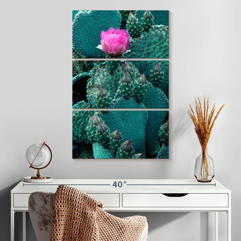 Harnek Beaver Tail Cactus, H 32 po x l 20 po