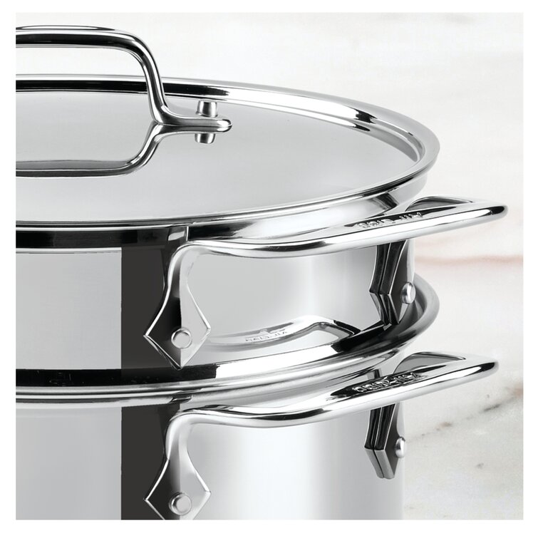 https://assets.wfcdn.com/im/07576138/resize-h755-w755%5Ecompr-r85/1152/115258573/All-Clad+Specialty+8+qt.+Stainless+Steel+Steamer+Pot+with+Lid.jpg