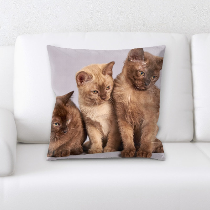 Coussin jolie