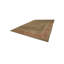 Tapis surdimensionné vert / orange Agx noué à la main 14 x 20 Agra