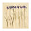Art sur toile «Cheri Blum»-105718254