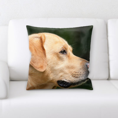 Coussin pour chien