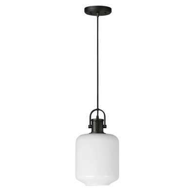 Luminaire suspendu 1 lumière Bayley