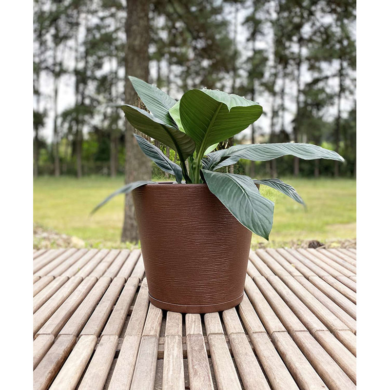 Genebra Pot Planter, Brown, 13.78" H x 15.75" W x 15.75" D