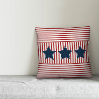 Square Pillow Cover & Insert