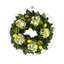 Hortensia artichaut et magnolia citron-159916228