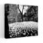 White tulips near a water tower Chicago Water Tower Michigan Avenue Chicago Cook County Illinois USA 1 Piece Wrapped Canvas Wall Art-1586844851