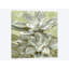 «Succulent VIII», impression sur toile-28627818-72446613-72446607