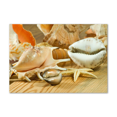 Shells On Wood - Wrapped Canvas Print