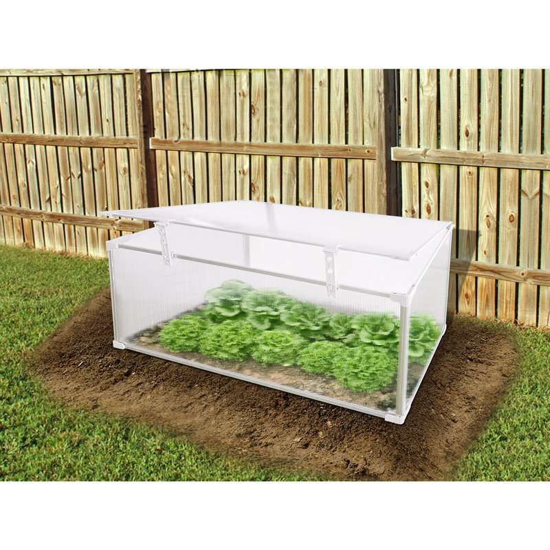 47.2" W x 20" D Cold Frame