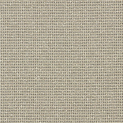 Altan Fabric